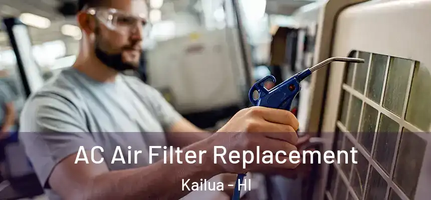  AC Air Filter Replacement Kailua - HI