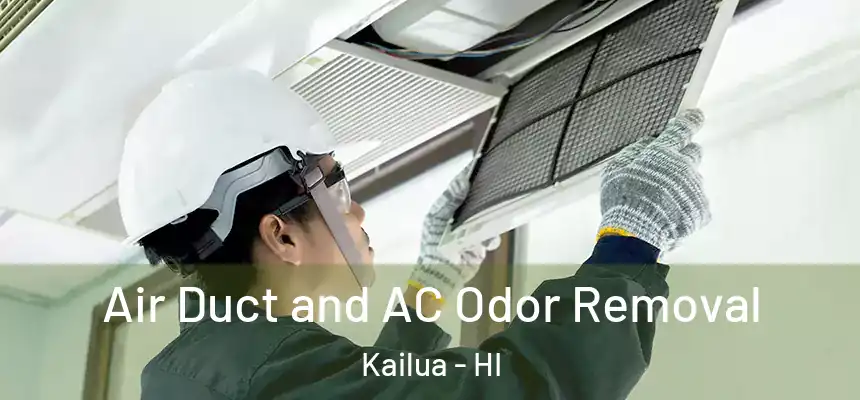 Air Duct and AC Odor Removal Kailua - HI