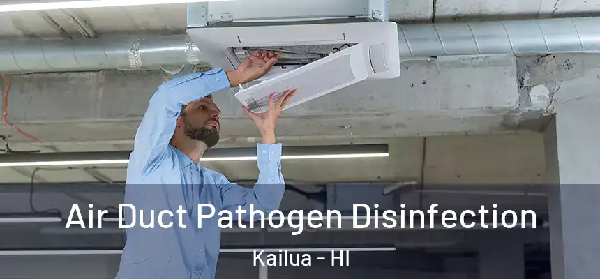  Air Duct Pathogen Disinfection Kailua - HI