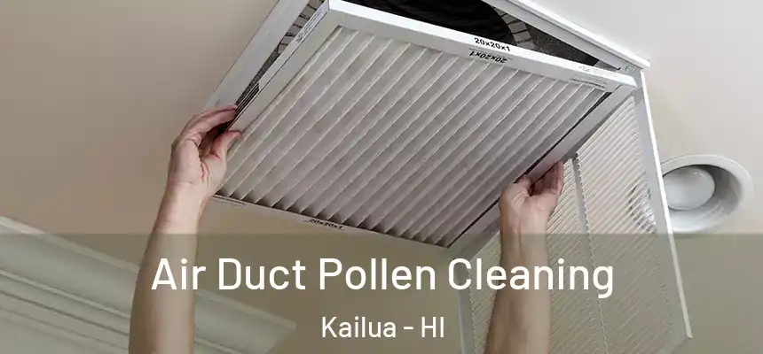 Air Duct Pollen Cleaning Kailua - HI