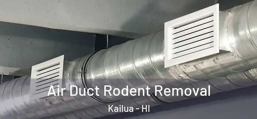  Air Duct Rodent Removal Kailua - HI