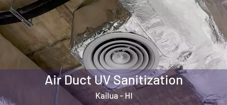  Air Duct UV Sanitization Kailua - HI
