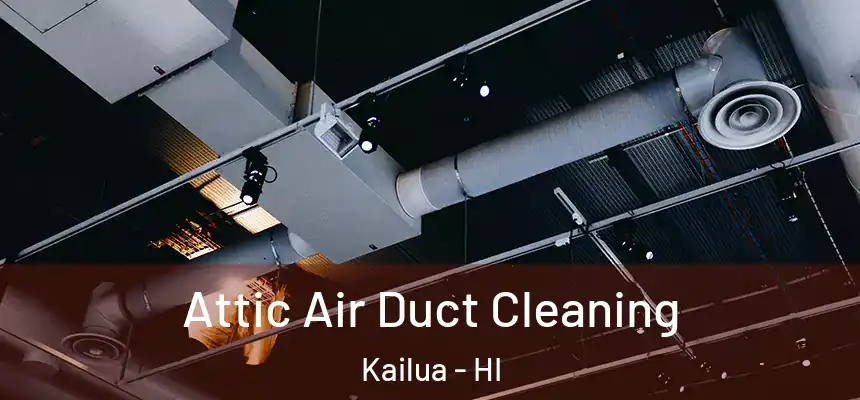  Attic Air Duct Cleaning Kailua - HI