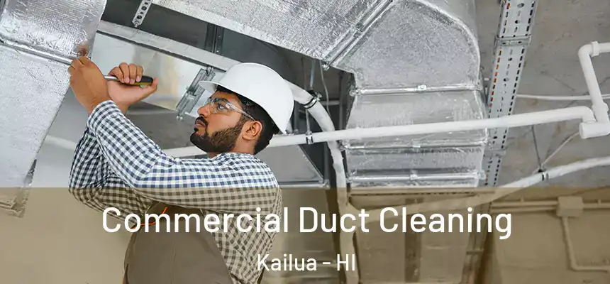 Commercial Duct Cleaning Kailua - HI