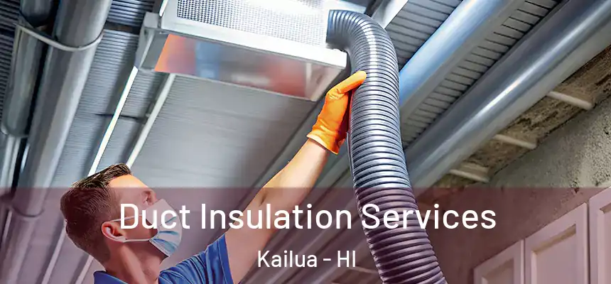  Duct Insulation Services Kailua - HI