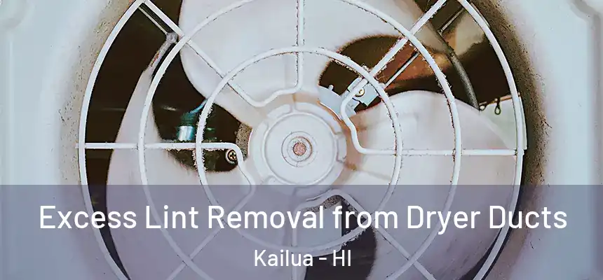Excess Lint Removal from Dryer Ducts Kailua - HI