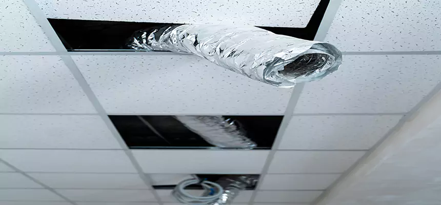 Our Air Duct Pet Hair Removal Services in Kailua, HI