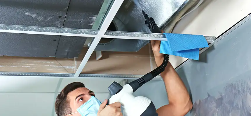 Our Air Duct Rodent Removal Services in Kailua, HI