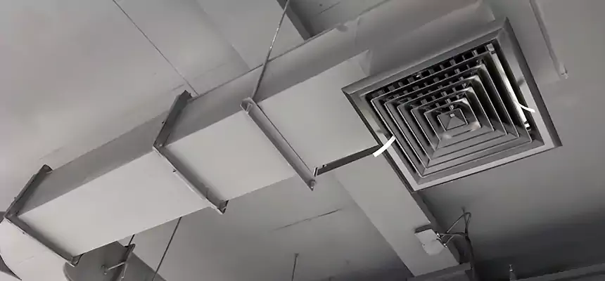 Restorative Allergy Relief Vent Cleaning – Coil, Blower & Housing Detail in Kailua