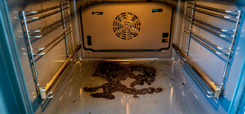 Our Dryer Vent Mold Cleaning Services in Kailua, HI