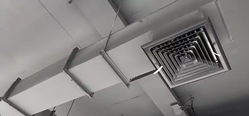 Our Rodent Droppings In Vents Services in Kailua, HI