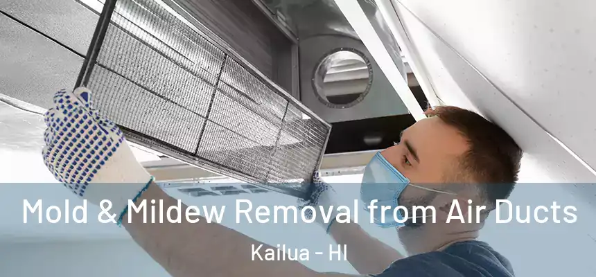  Mold & Mildew Removal from Air Ducts Kailua - HI