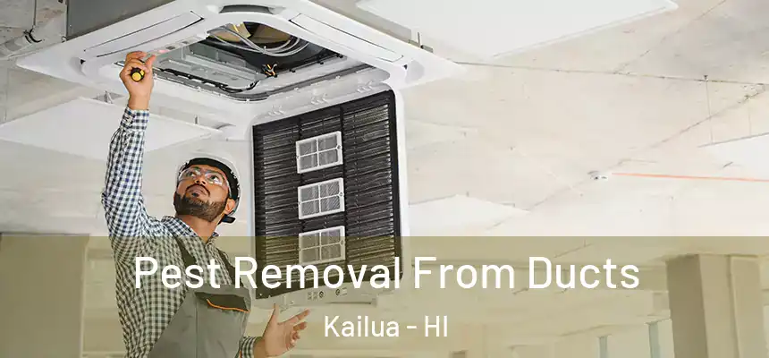  Pest Removal From Ducts Kailua - HI