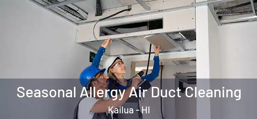 Seasonal Allergy Air Duct Cleaning Kailua - HI