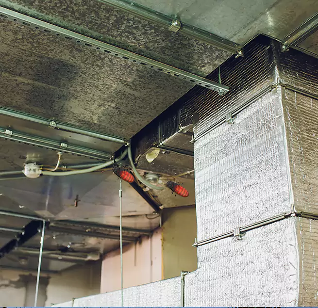 Why Homeowners & Businesses Trust Us in Kailua, HI?