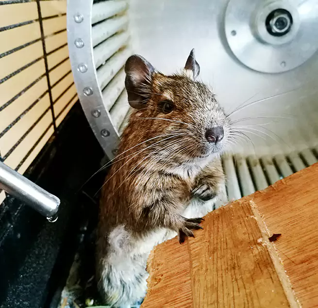 Why Homeowners & Businesses Trust Us Kailua, HI?