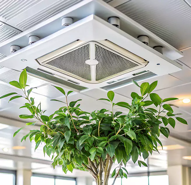 Why Homeowners & Businesses Trust Us in Kailua, HI?