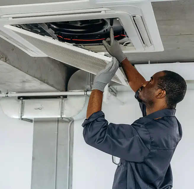 Why Homeowners & Businesses Trust Us in Kailua, HI?