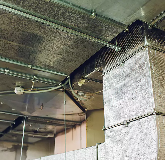 Why Homeowners & Businesses Trust Us in Kailua, HI?